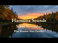 Silent November — What Remains After Goodbye | 1 Hour Piano \u0026 Cello Music