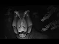 Download Lagu Dinosaurs Sounds