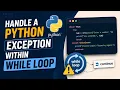 Handle a Python Exception Within While Loop Complete Tutorial