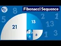 Fractions and Equivalent Fractions with Rectangles