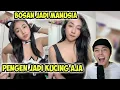 Download Lagu KUCING JADI JADIAN