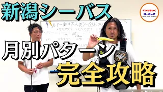 絶対釣れる！新潟県のシーバスはここを抑えれば完璧！各月のパターンなど解説します！