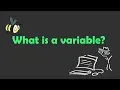 What is a variable in Programming