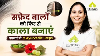 सफ़ेद बालों को फिर से काला बनाएं  | अपनाएं ये 2 Ayurvedic Steps | Humyog | Radhesa |