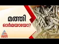 എന്റെ പൊന്നു മത്തീ... ട്രോളിംഗ് കഴിഞ്ഞിട്ടും മത്തി കിട്ടാനില്ല