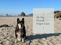 Dog Friendly Oregon The Oregon Coast Cannon Beach Manzanita Astoria