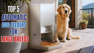 Top 5 Automatic Dog Feeders For Large Breeds Watch This Before You Make a Choice