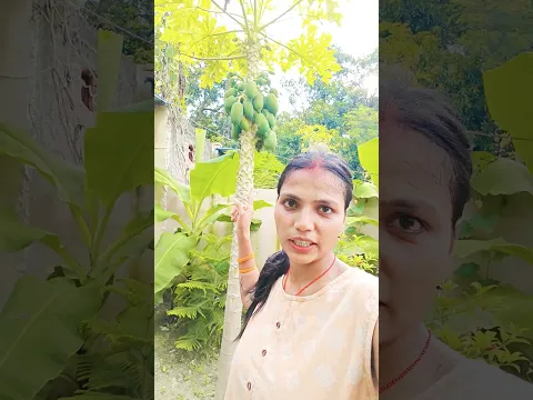 7 सितंबर 2026