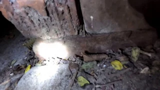 South Central Vegan Gets FREE Bricks From Craigslist