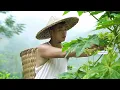 Homesteading: An Engineer Turns Empty Land into His Dream Vegetable Garden