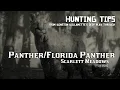 Panther Scarlett Meadows location - Hunting Tips RDRII
