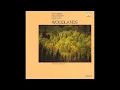 David Lanz & Eric Tingstad & Nancy Rumbel — Bamboo