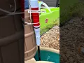 The best watee table hack