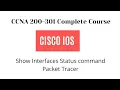 Cisco IOS Analysis of Show Interfaces Status command using Packet Tracer