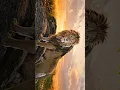 Download Lagu Mufasa's Wisdom: Life Lessons We Learned from The Lion King(Mufasa death scene)#viral #shorts