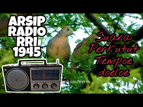 Download MP3 DENGARKAN ‼️ Suara Perkutut Yg Sering Diputar Radio Jaman Dulu - Arsip Radio Republik Indonesia 1945