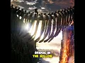 Download Lagu KERANGKA MEGA-Titan yang mana yang Kong Walking On di GODZILLA x KONG: THE NEW EMPIRE... #shorts