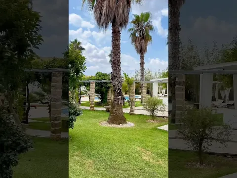 Italian summer vibes on Villa in Italy #italy #puglia #travel #villas #vacation