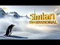 Lagu 🐧The #penguin #mystery is Uncovered!😂 #simianinternational #construction #scaffolding