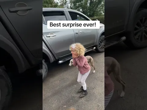 surpise gift 🎁🥰 #pet #cat #dog #cute #animals #foryou #typ