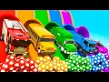 Download Lagu collar squish ball Baby Shark Song | Seven Steps + more Nursery Rhymes \u0026 Kids Songs | Kindergarten