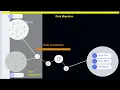 Data Migration vs Conversion vs Integration