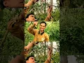 Download Lagu PIKAT BURUNG CUMA PAKE MP3