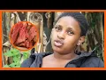 Download Lagu MTU ANAYE KULA NYAMA ZA WATOTO NA KUPIKA ASIMULIA  BILA KUOGOPA MAANDALIZI/MAJINI NDIO YANATAKA
