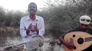 أغنية أحمد غائب في الركائب 