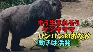 A Baby Is About To Be Born This Energetic Mom Despite Her Bloated Belly She S Still Active 