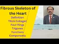 Download Lagu Fibrous Skeleton of the Heart