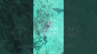 سورة الاخلاص بصوت الشيخ احمد النفيس 