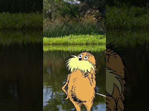 How High Can A Frog Jump? #DrSeuss #Shorts