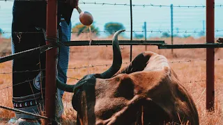 thabo seremi sello sa tshuwana makgarihlana live performance phomolong studios