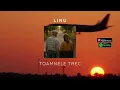 Download Lagu LINU - Toamnele Trec | Official Audio