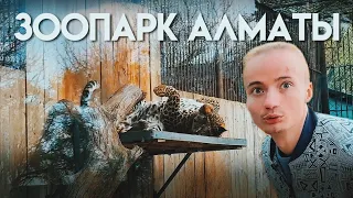 ТОП ЗООПАРКОВ МИРА. АЛМАТЫ. Откусили лапу леопарду!? Правда самый грязный?