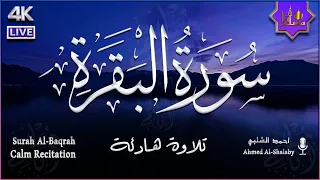 سورة البقرة قرآن كريم للراحة النفسية والاسترخاء وللمساعدة على النوم راحة نفسية لا توصف 