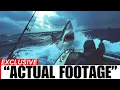 Download Lagu Did Fishermen Off The Coast Of Australia Encounter A Giant Megalodon Shark?