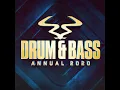 All for You (feat. Karen Harding) (Extended Mix)