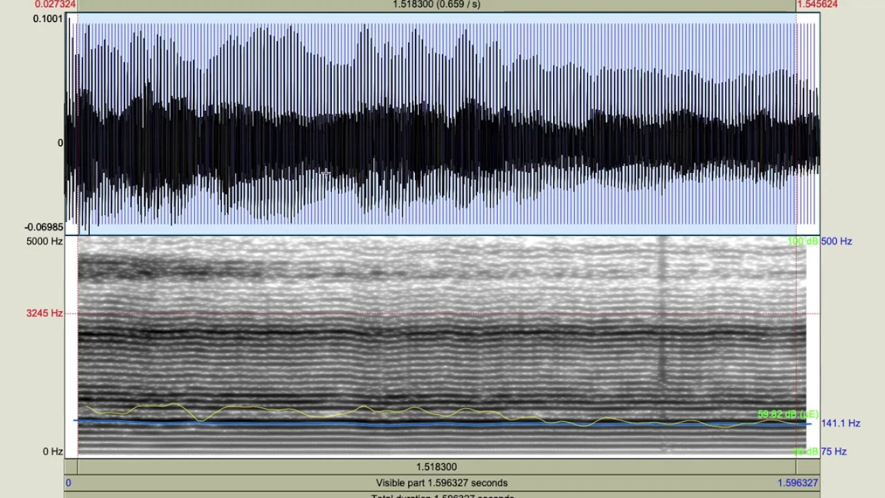 PRAAT 3 VOICE REPORT