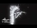 THIRST - AFTER HOURS MIXTAPE [Monstercat Release]