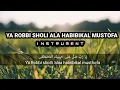 Lagu Ya Robbi Sholi Ala Habibikal Mustofa|| Instrumen