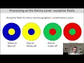 Introduction to Cognitive Neuroscience Session 4 1 Neural basis of visual processing retina