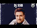 Download Lagu Dj SSB X SARDOOL SIKANDER- HUSNA DE MALKO 2025