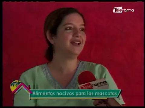 Alimentos nocivos para las mascotas