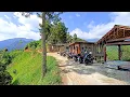 Download Lagu Warung Kopi View Cantik Di Atas Gunung Menawarkan Panorama Alam Yang Menakjubkan