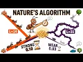 Understanding Ant Colony Optimization ACO Step-by-Step