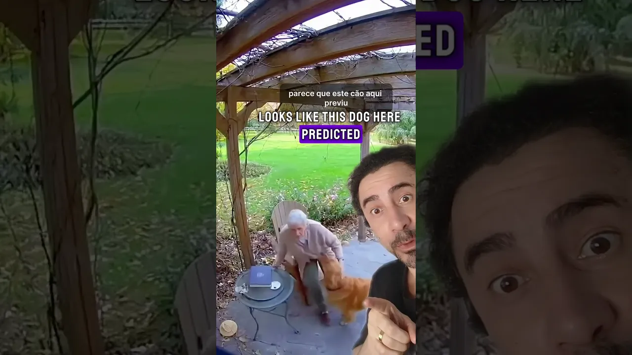 #pet