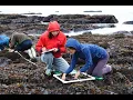 Duxbury Reef Tide-Pooling Feb 27 2022