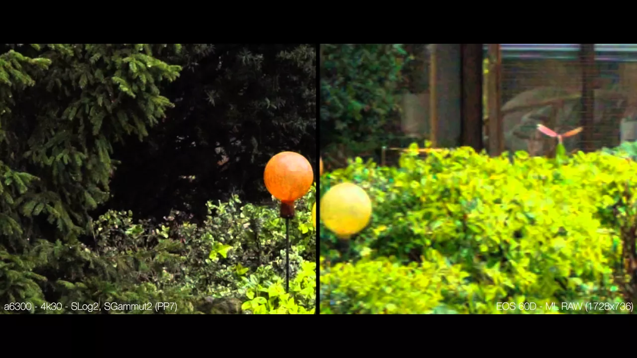 This is Big Test of two cameras for advance beginners - Canon 70d vs Sony A6000. So you can see vide. 